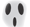 Ghost Stories