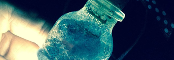 The Legend of Bottle Hill