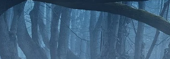 The Druidic Revenant